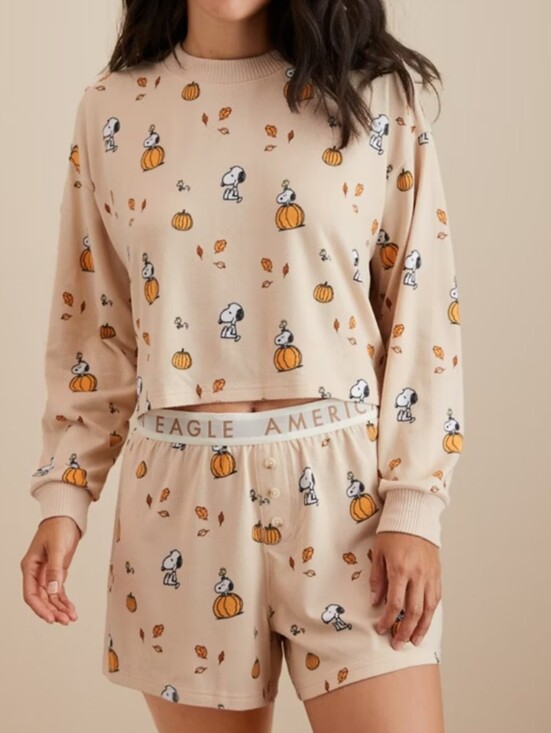 American Eagle Outfitters Other - American Eagle Snoopy Fall Pj Set Size XXL NWT